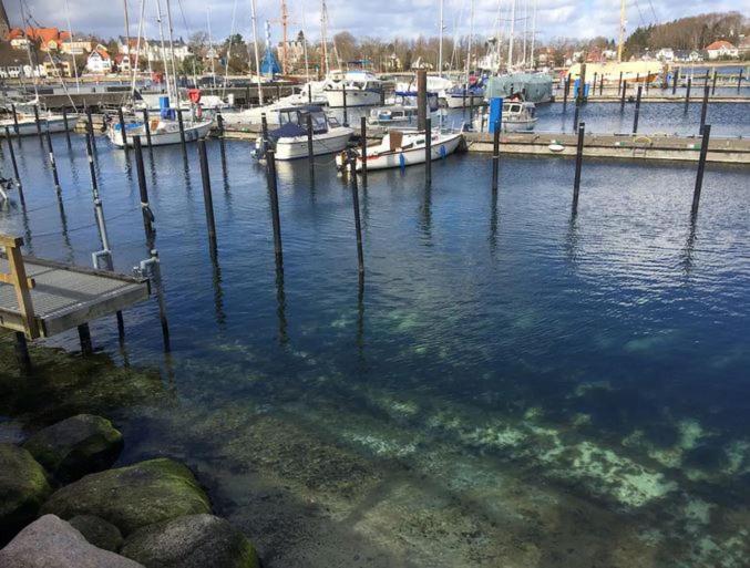 Eckernförde Im Bademantel An Den Strand Mit Terrasse מראה חיצוני תמונה